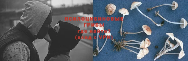 шишки Абдулино