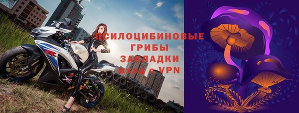 шишки Абдулино