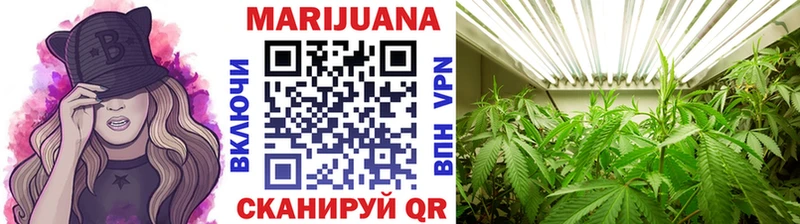 продажа наркотиков Ялта Бошки марихуана ГИДРОПОН